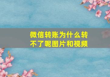 微信转账为什么转不了呢图片和视频