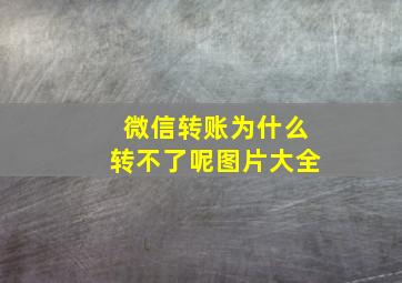 微信转账为什么转不了呢图片大全