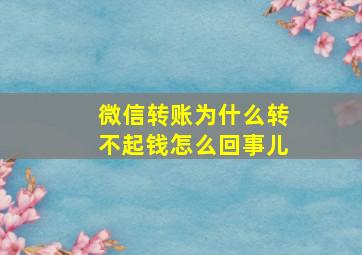 微信转账为什么转不起钱怎么回事儿