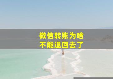 微信转账为啥不能退回去了