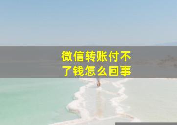 微信转账付不了钱怎么回事