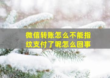 微信转账怎么不能指纹支付了呢怎么回事