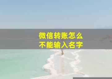 微信转账怎么不能输入名字