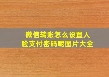 微信转账怎么设置人脸支付密码呢图片大全