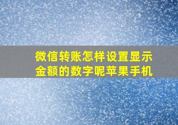 微信转账怎样设置显示金额的数字呢苹果手机