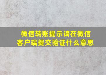 微信转账提示请在微信客户端提交验证什么意思