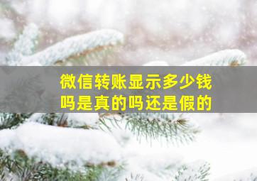 微信转账显示多少钱吗是真的吗还是假的