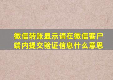 微信转账显示请在微信客户端内提交验证信息什么意思