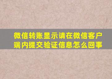 微信转账显示请在微信客户端内提交验证信息怎么回事