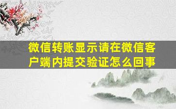 微信转账显示请在微信客户端内提交验证怎么回事