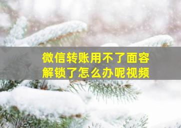 微信转账用不了面容解锁了怎么办呢视频