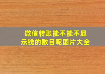 微信转账能不能不显示钱的数目呢图片大全