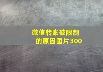 微信转账被限制的原因图片300