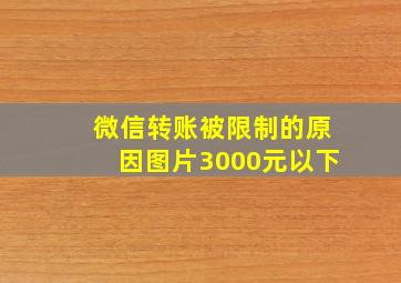 微信转账被限制的原因图片3000元以下