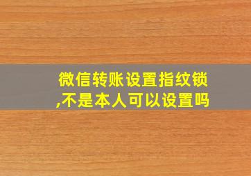 微信转账设置指纹锁,不是本人可以设置吗