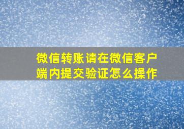 微信转账请在微信客户端内提交验证怎么操作