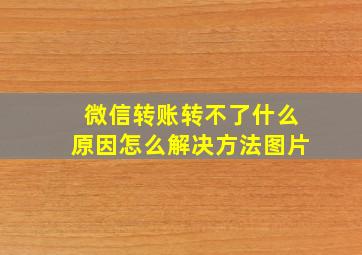 微信转账转不了什么原因怎么解决方法图片