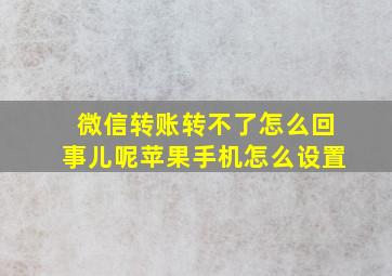 微信转账转不了怎么回事儿呢苹果手机怎么设置