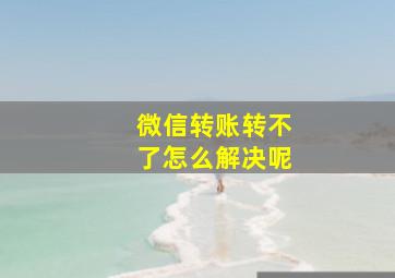 微信转账转不了怎么解决呢