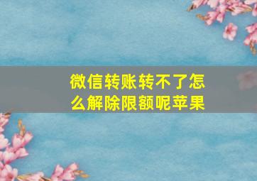 微信转账转不了怎么解除限额呢苹果