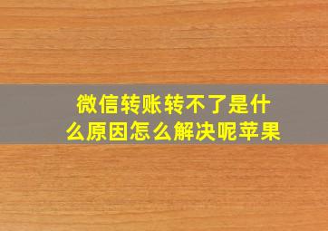 微信转账转不了是什么原因怎么解决呢苹果