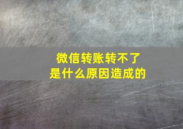 微信转账转不了是什么原因造成的