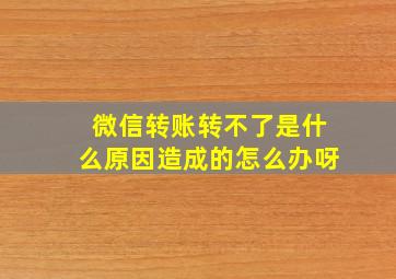 微信转账转不了是什么原因造成的怎么办呀