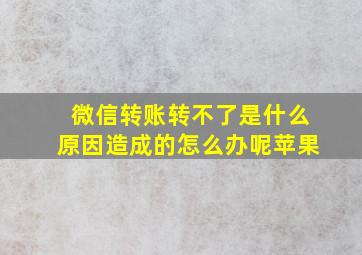 微信转账转不了是什么原因造成的怎么办呢苹果