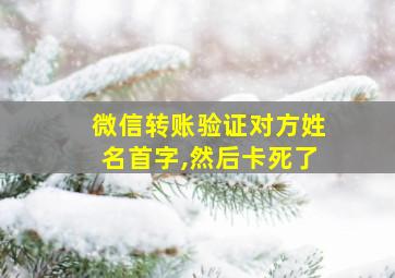 微信转账验证对方姓名首字,然后卡死了