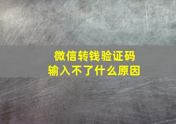 微信转钱验证码输入不了什么原因