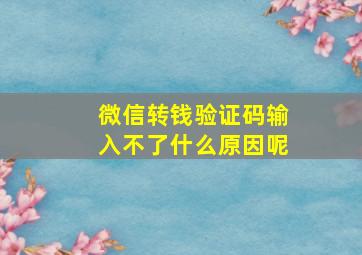 微信转钱验证码输入不了什么原因呢