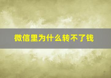 微信里为什么转不了钱