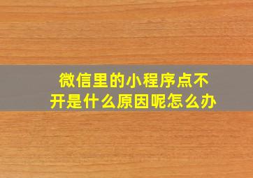 微信里的小程序点不开是什么原因呢怎么办