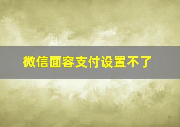 微信面容支付设置不了