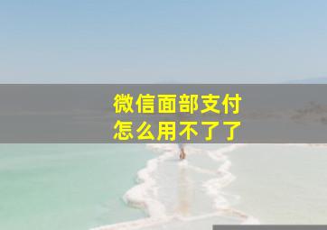 微信面部支付怎么用不了了