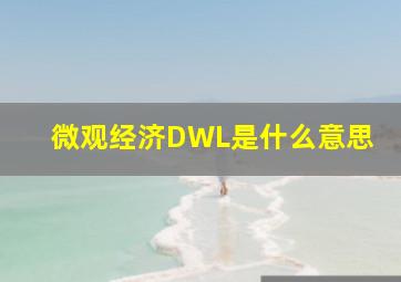 微观经济DWL是什么意思