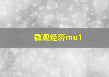 微观经济mu1