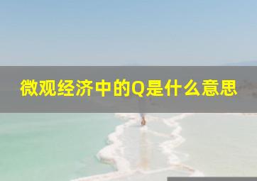 微观经济中的Q是什么意思