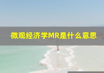 微观经济学MR是什么意思