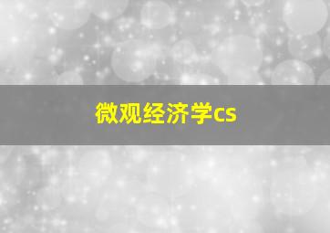 微观经济学cs