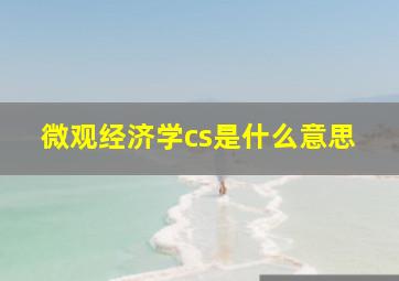 微观经济学cs是什么意思