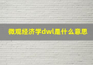 微观经济学dwl是什么意思