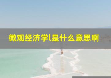 微观经济学l是什么意思啊