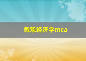 微观经济学mca