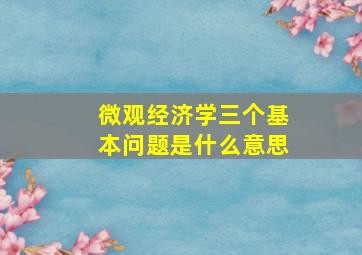 微观经济学三个基本问题是什么意思