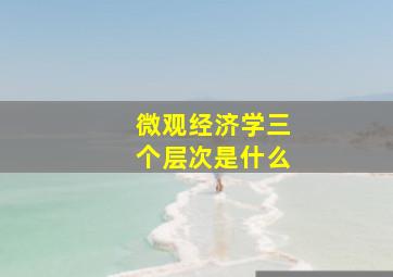 微观经济学三个层次是什么