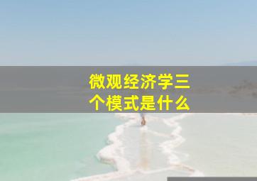 微观经济学三个模式是什么