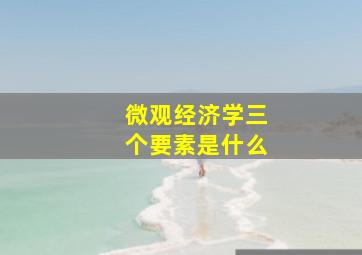 微观经济学三个要素是什么