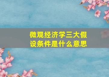 微观经济学三大假设条件是什么意思