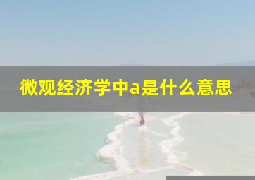 微观经济学中a是什么意思